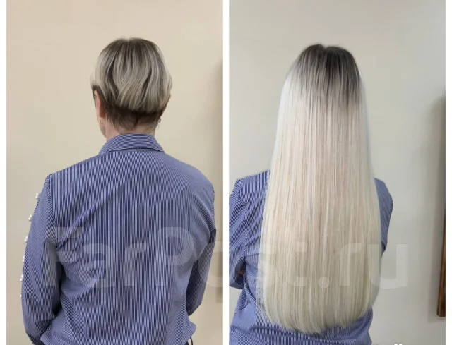 ����������� ����� | �������� ������ ����
