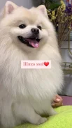 �������� ����. ����