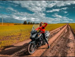 Suzuki V-Strom. 1 000����. ��., ��������, ���������, ������ �� �� ����