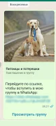 ������. ����