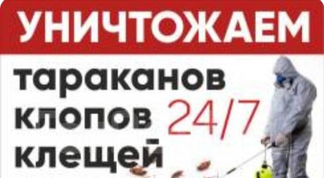 Избавление, истребление клопов, тараканов, пастельных клещей в Хабаровске