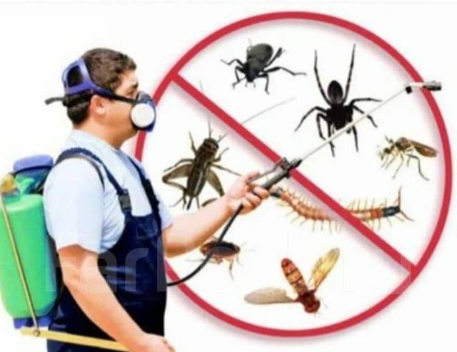 Обработка помещений от насекомых в Хабаровске