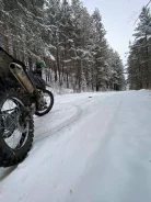 Irbis TTR. 250����. ��., ��������, ��� ���, ������ �� �� ����