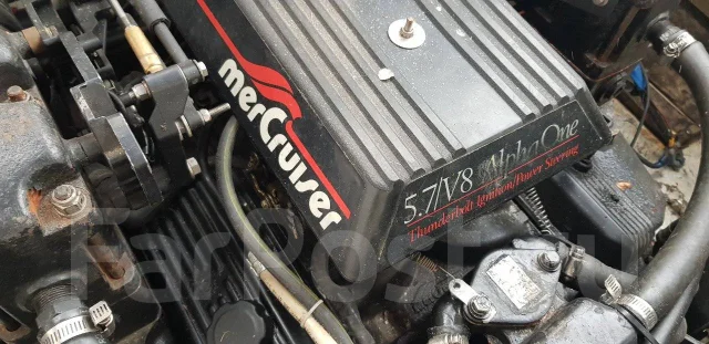 Bayliner. 1990 ���, ����� 7,9��., ��������� ������������, 190��.�., ������ ����