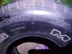 Michelin LTX M/S. �����������, 2005 ���, ����� ����
