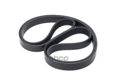   Citroen/Ford/Mazda/Peugeot/Vw 6Pk1750 6Pk1750; 6Pk1753; Fb-3209; 047903137Ab; 078903137Ap; Br. tb. 1. 166; Br. tb. 1. 17...