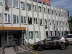 �������, ���������. ��������������� ����������� ��������. ����� ������ 23 ����