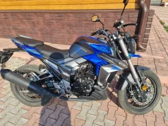 Regulmoto T-Leopard 300. 300����. ��., ��������, ���������, ������ �� �� ����