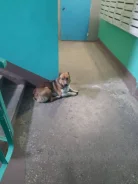 ������. ����