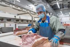 ���������. ��� �������. ���������� ����, ������������ �����, ���������, ����� ���������� 2� ����