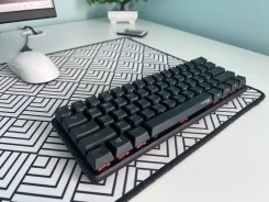 ����������. ����