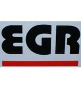 ()  EGR 92450028B 