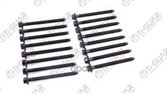    / Ti-Guar  Citroen Peugeot Lr Jaguar C5 Range Rover Velar Xf 276Dt 306Dt; . 8/  M13/   1,5/  160. ; Tg-Chb1...
