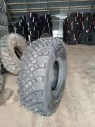 Maxwind. �����������, 2023 ���, ����� ����