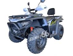 Bashan Explorer 300 Basic