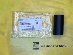 ������ �������� �������� PCV EJ205 807519082 807519082 ����
