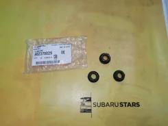 ����� ��������� ������� (����� M10) 902370029 902370029 ����