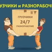��������. ����
