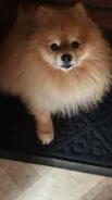 ����. ����
