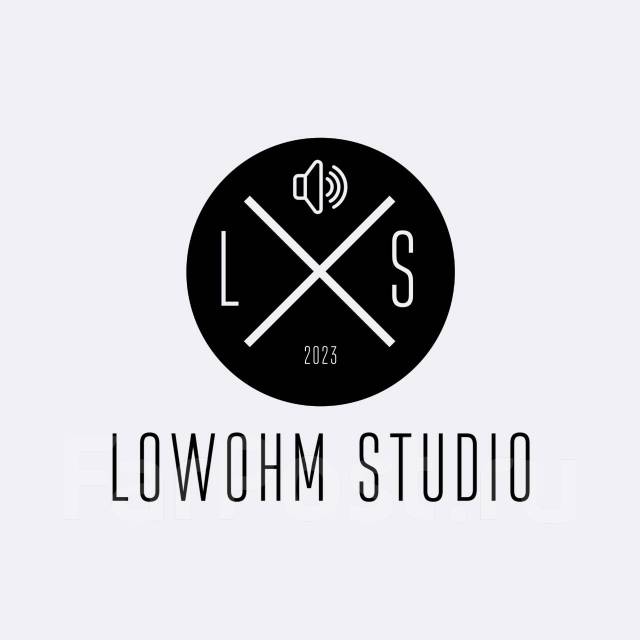 Установка, подбор и настройка автозвука/ LowOhm Studio в Находке