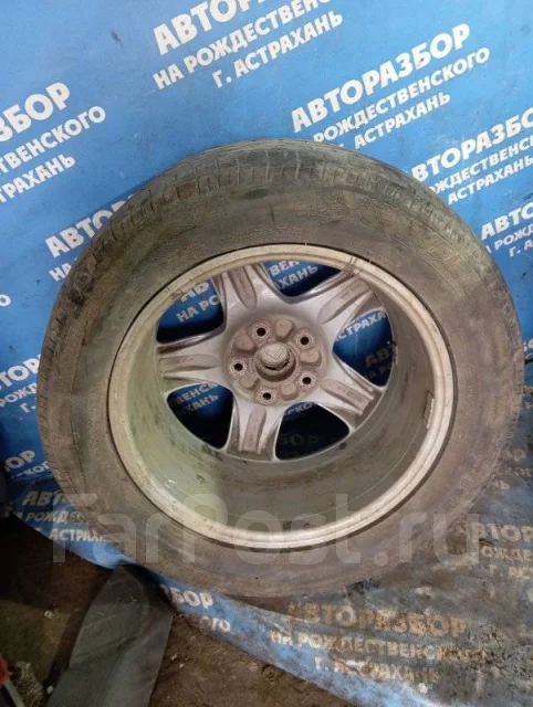 ������ ����