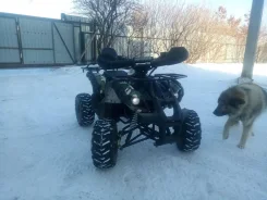 Grizzly. ��������, ��, �� ����