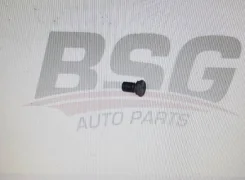 ������ ��������� �������. BSG 15230001 BSG15230001 ����