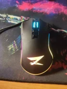 ���� �������. ����