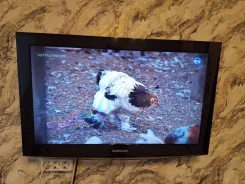 Samsung. LCD (��) ����