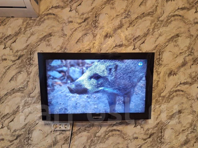 Samsung. LCD (��) ����