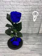 ����. ����