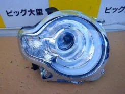 ���� Suzuki Crosby, ������ ����