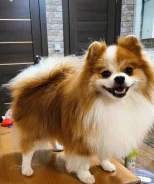 ����. ����