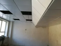 ������� ���������. ����