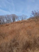 ��������� ������� �� ���� � ���������� ����� (���������). 16.1����., ���, �������������. ���� ������� ����