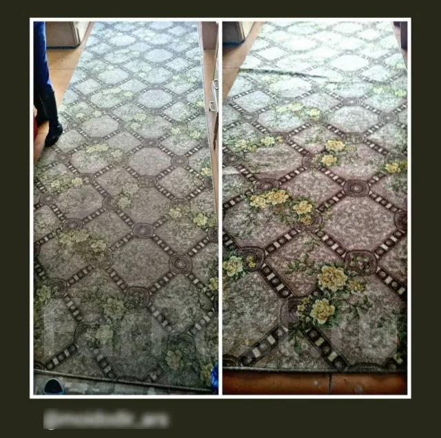 ���������. ����