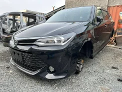 ���� ����� 12597 ��� �����! ��� ��������! ����