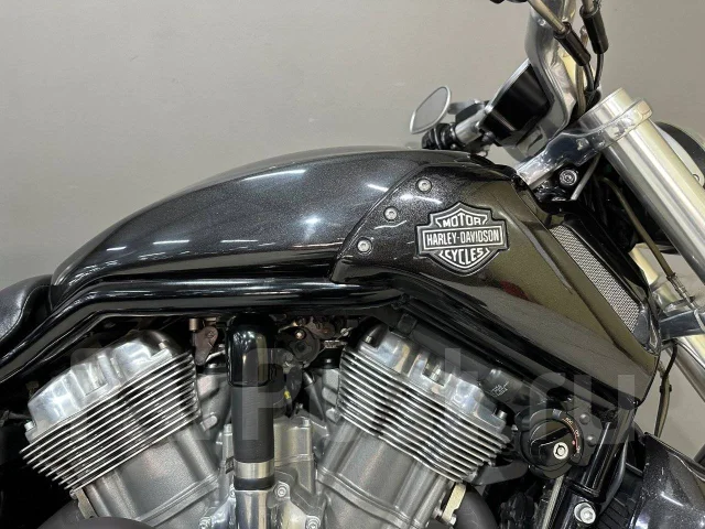 Harley-Davidson V-Rod Muscle VRSCF, 2015, 1 250 куб. см. 4х тактный ...