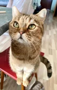 ���������� �����. ����