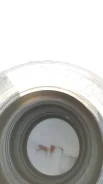 Dunlop Grandtrek AT22. ������, 2020 ���, �/�, ����� 30 % ����