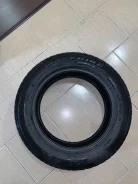 Triangle TR257. ������, �/�, ����� 10 % ����