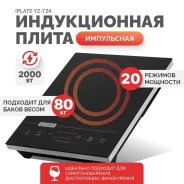 ������������ ����� IPLATE YZ-T24 2000 �� (������ 2024 ����) ����