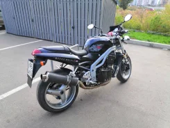 Triumph Speed Triple. 955����. ��., ��������, ���������, ������ �� �� ����