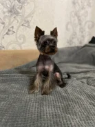 ����������� ������. ����