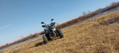 Grizzly. ����������, ��� ���\���, �� ����