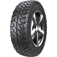 Doublestar T01