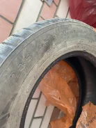 Nordman 7. ������, ����������, 2018 ���, �/�, ����� 10 % ����