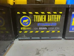 Tyumen BatBear. 60��.�., L2, 550��., �������� (�����), ������������ ������ ����