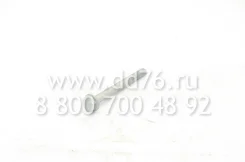 ���� � ������������� 310018 310018 ����