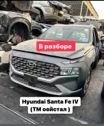 Hyundai Elantra. AD, G4NA G4NH G4FM ����